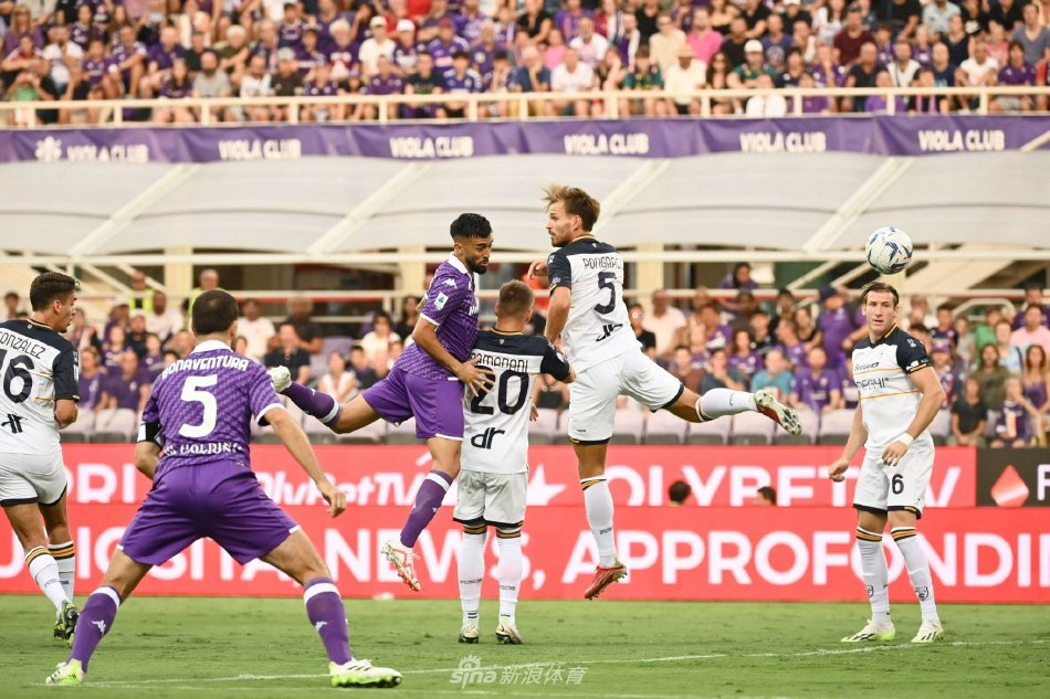 养的提升 养的提升